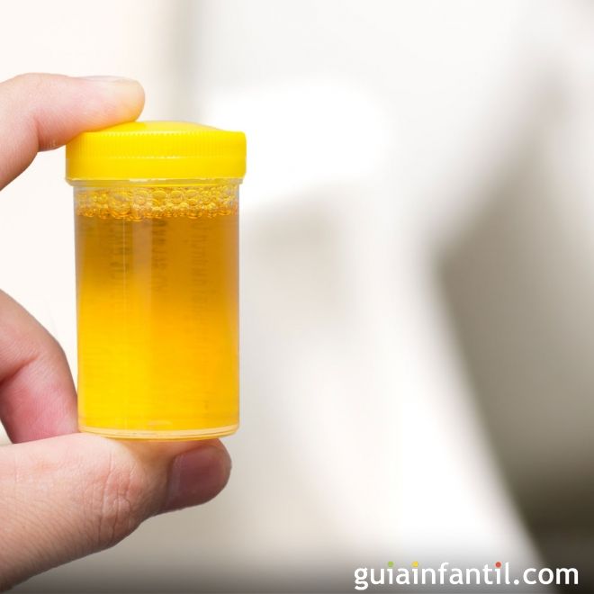 Test De Farmacia Para Saber Si Es Ni O O Ni A Actualizado Julio