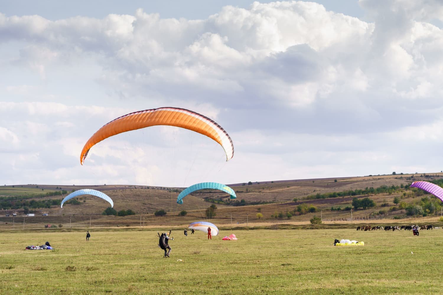 Explorar el cielo el crecimiento del parapente como actividad recreativa en España