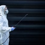 La importancia del control de plagas: un desafío clave para mantener ambientes saludables