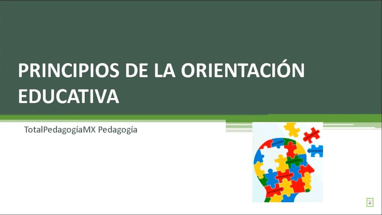 Principios De La Orientacion Educativa | Actualizado Octubre 2024